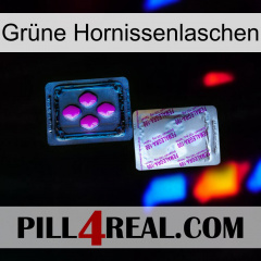 Grüne Hornissenlaschen 37